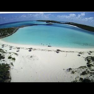 Meet your Posher, Marsha